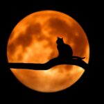 Wicca Seline