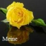 Meine